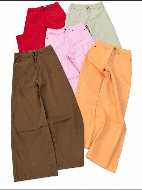 Easel Zipper Pants